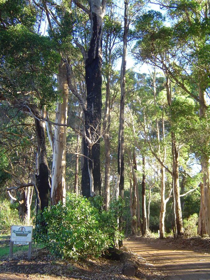 Kangaroo Valley Cottage Denmark Exteriör bild